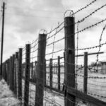 SLS: Za spoštovanje vseh, ki so se borili proti nacizmu, fašizmu in komunizmu