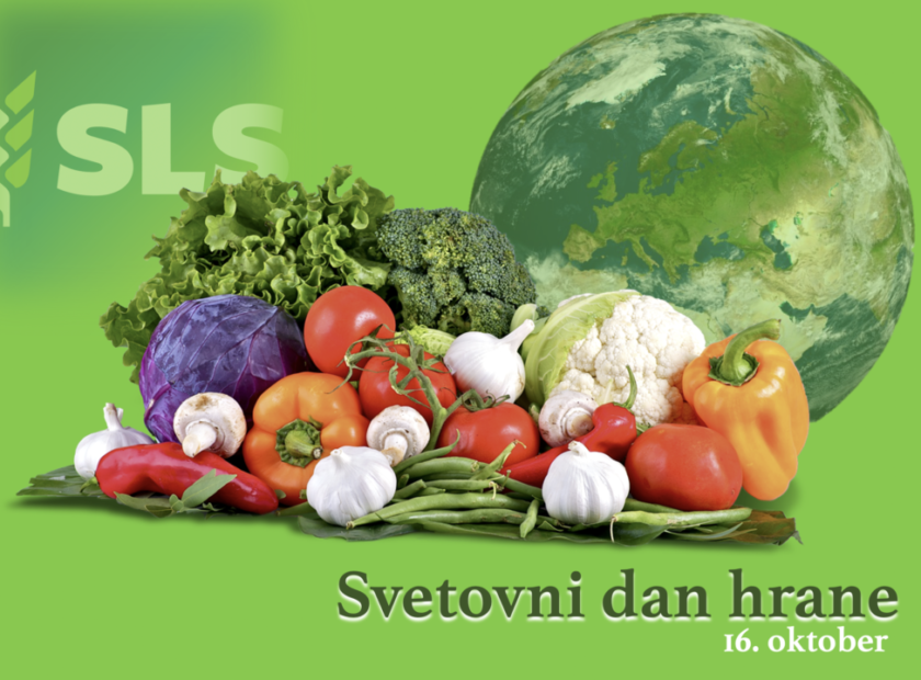 Screenshot-2021-10-16-at-14.13.45